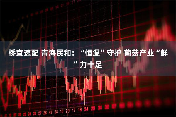 桥宜速配 青海民和：“恒温”守护 菌菇产业“鲜”力十足