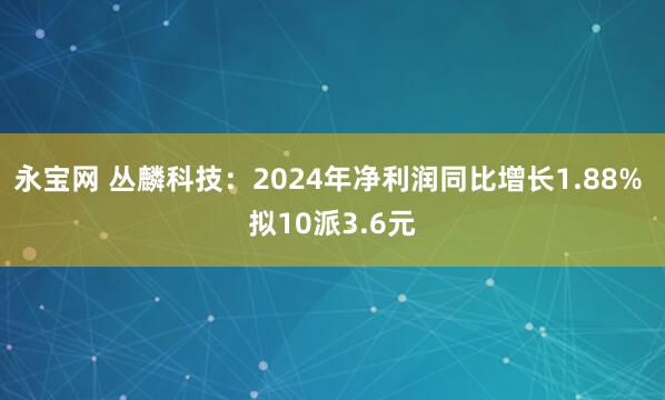 永宝网 丛麟科技：2024年净利润同比增长1.88% 拟10派3.6元