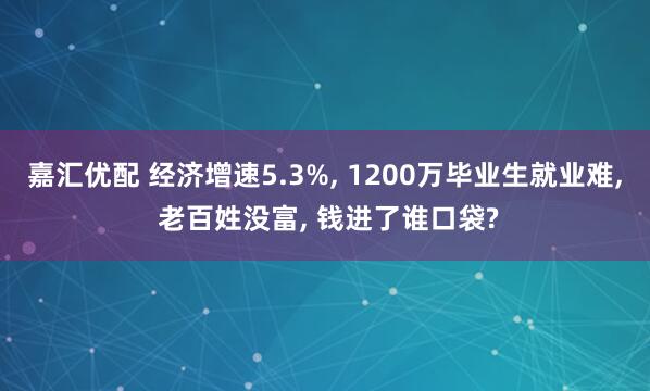 嘉汇优配 经济增速5.3%, 1200万毕业生就业难, 老百姓没富, 钱进了谁口袋?